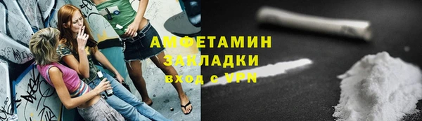 прущие грибы Гусев