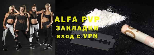 прущие грибы Гусев
