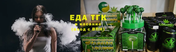 соль ск Дмитриев