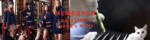 соль ск Дмитриев