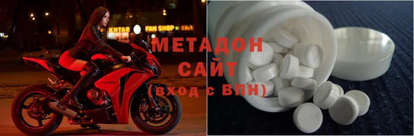прущие грибы Гусев
