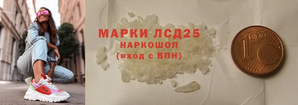 прущие грибы Гусев