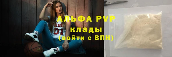 прущие грибы Гусев