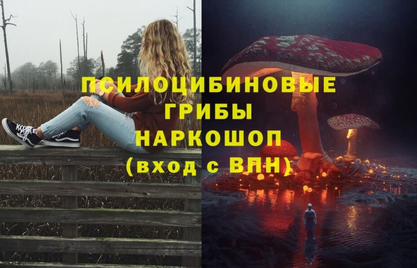 соль ск Гусиноозёрск