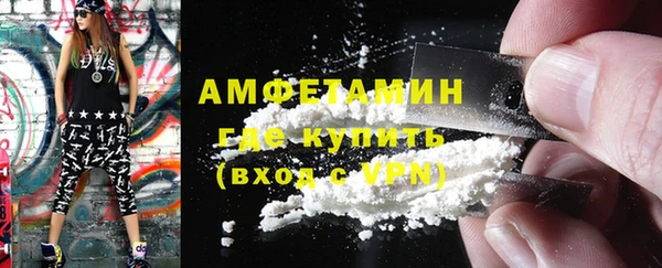 соль ск Дмитриев
