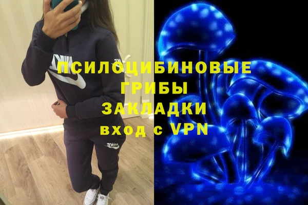 прущие грибы Гусев
