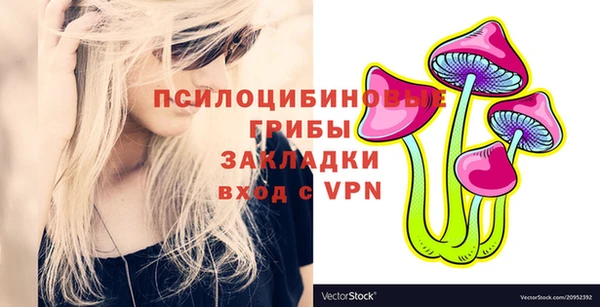 прущие грибы Гусев