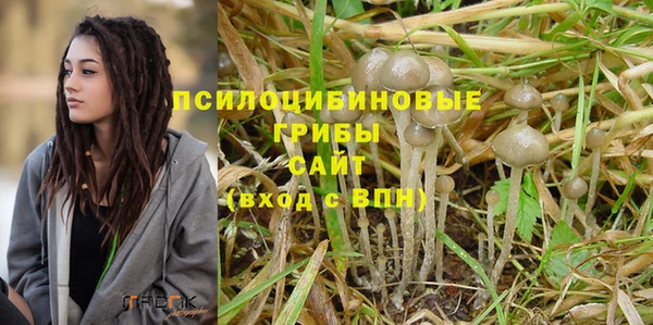 соль ск Дмитриев