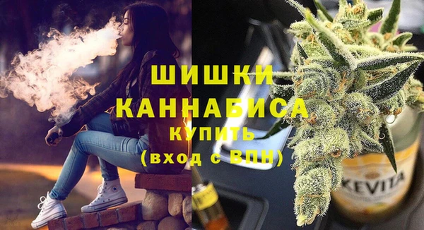 соль ск Дмитриев