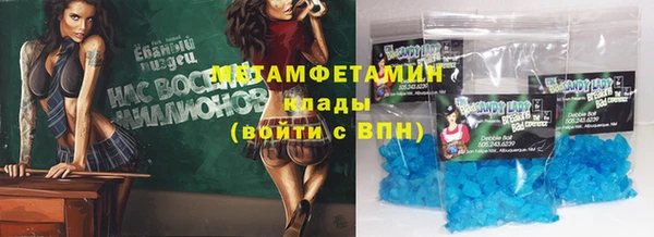 прущие грибы Гусев